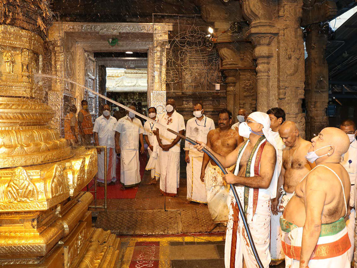 Koil Alwar Thirumanjanam Performed At Tirumala Tirupati Temple Photo Gallery - Sakshi5