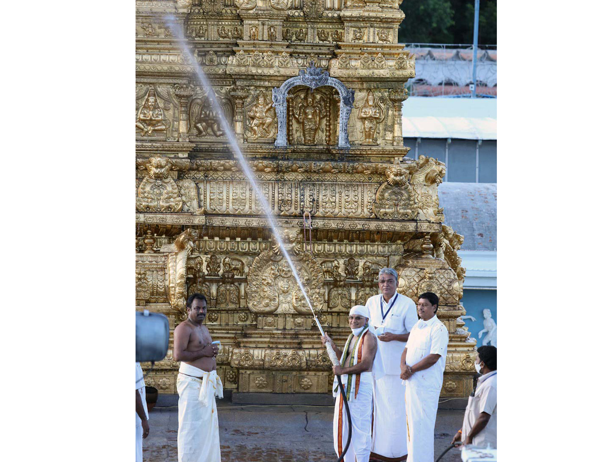 Koil Alwar Thirumanjanam Performed At Tirumala Tirupati Temple Photo Gallery - Sakshi6