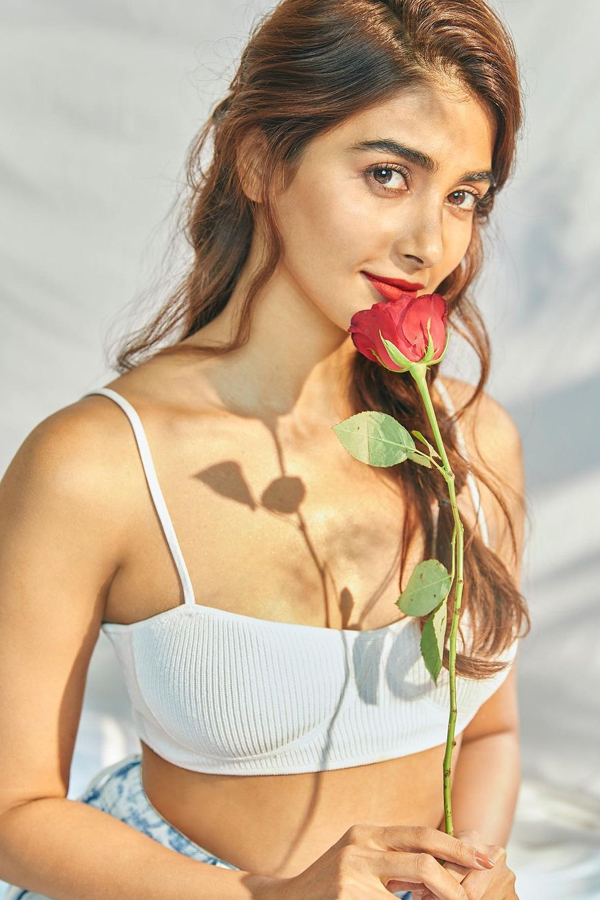 Photos : Pooja Hegde Viral Pics In social media - Sakshi2