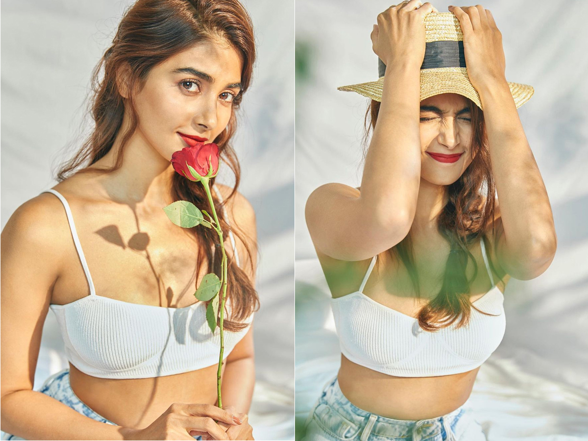 Photos : Pooja Hegde Viral Pics In social media - Sakshi1