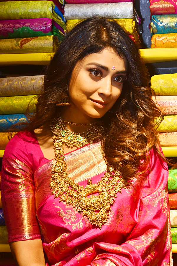 Actress Shriya Saran and Faria Abdullah At Mugdha Store Grand Opening - Sakshi16