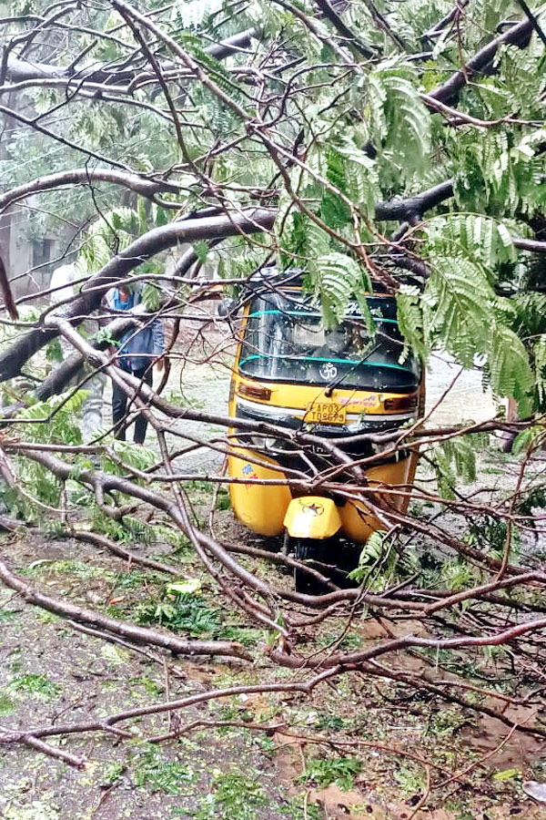 Heavy Rainfall At Tirupati In Chittoor Photo Gallery - Sakshi36