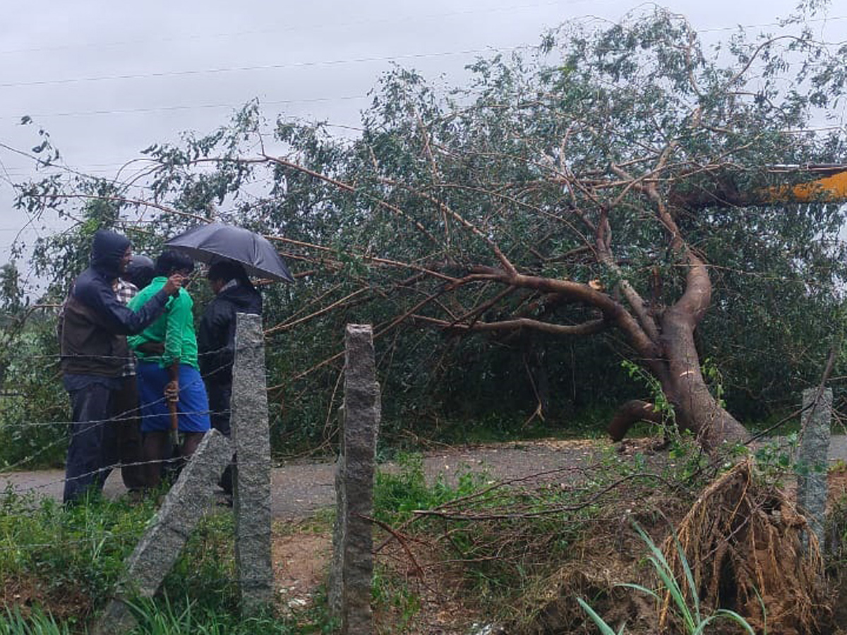 Heavy Rainfall At Tirupati In Chittoor Photo Gallery - Sakshi41