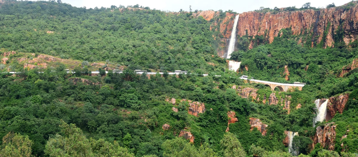 Heavy Rain In Tirupati - Sakshi83
