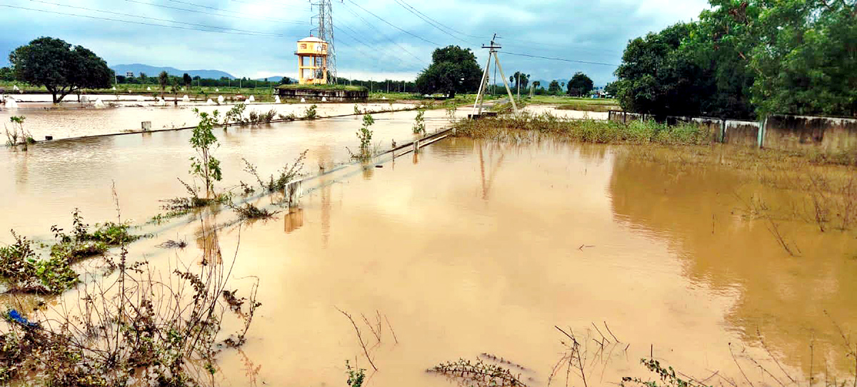 Heavy Rain In Tirupati - Sakshi82