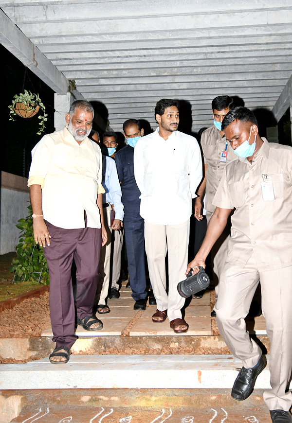 CM YS Jagan Visits Newly Set Up Goshala At His House Tadepalli - Sakshi6