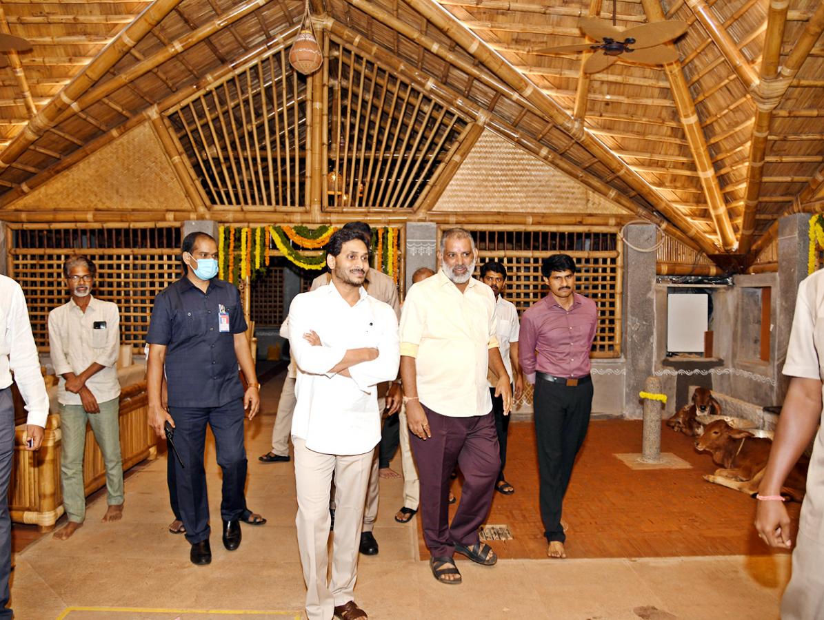 CM YS Jagan Visits Newly Set Up Goshala At His House Tadepalli - Sakshi12