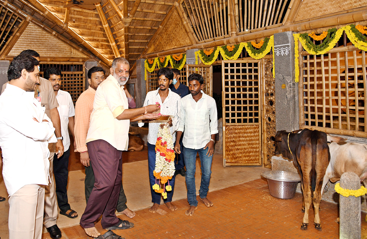 CM YS Jagan Visits Newly Set Up Goshala At His House Tadepalli - Sakshi13