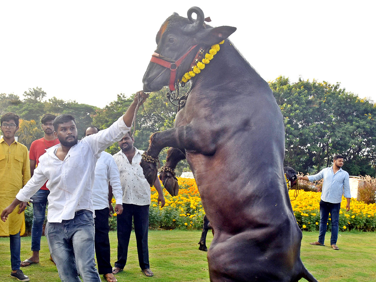 Best photos of the week November 07 to November 14, 2021 Photo Gallery - Sakshi6