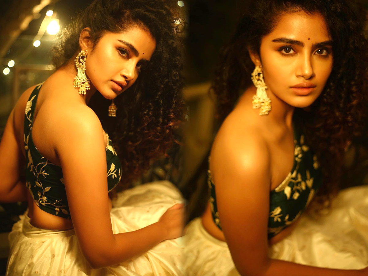 Actress Anupama Parameswaran Photo Gallery - Sakshi1