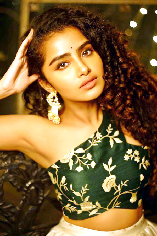 Actress Anupama Parameswaran Photo Gallery - Sakshi14