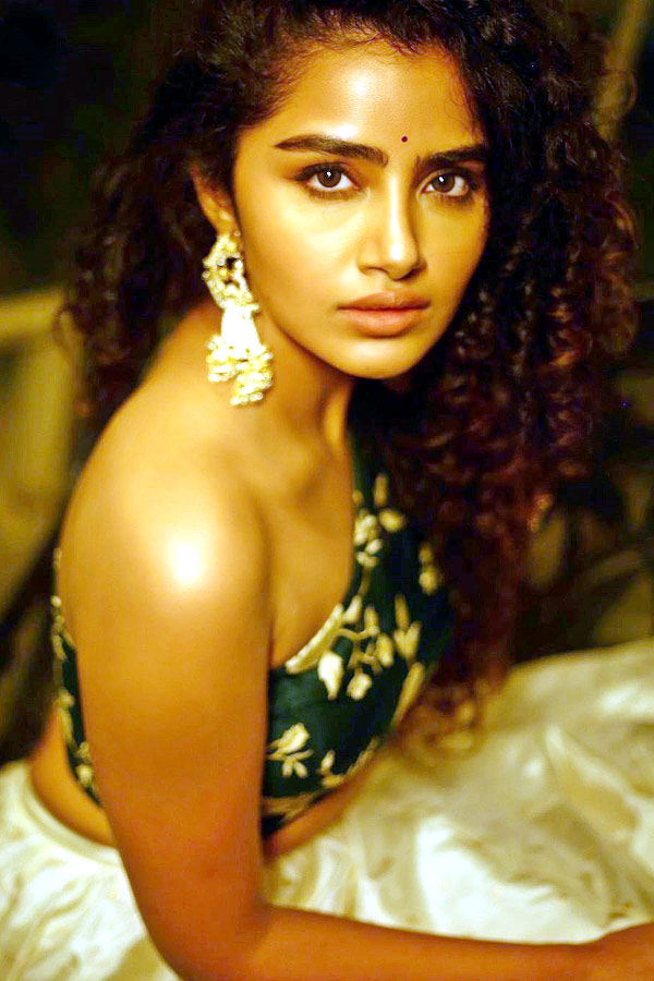 Actress Anupama Parameswaran Photo Gallery - Sakshi15