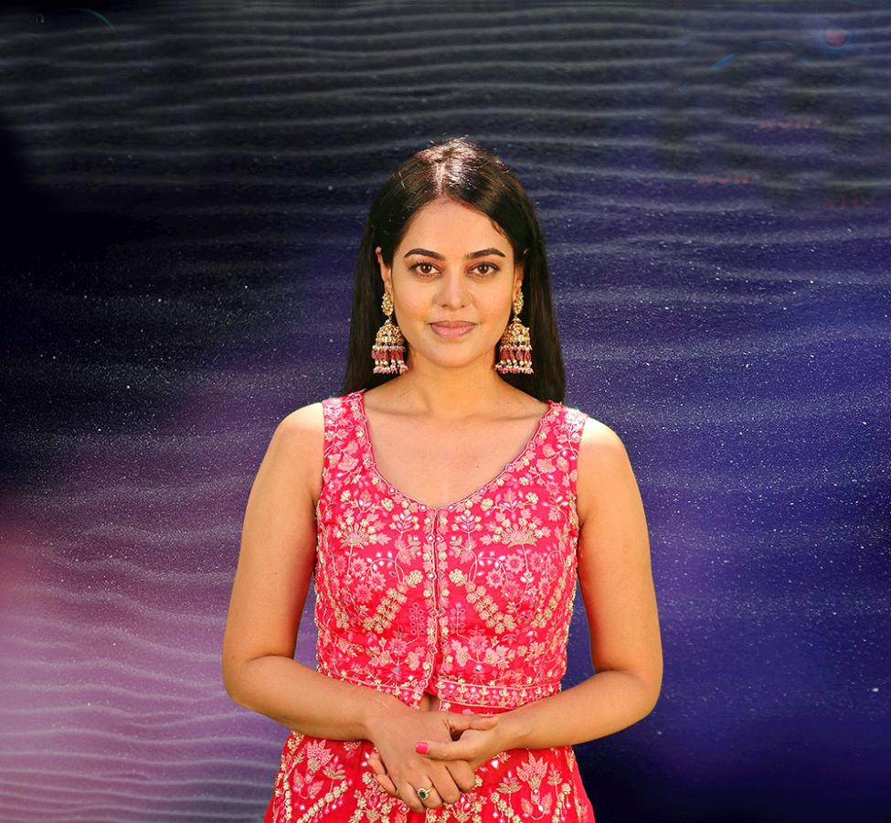 Bigg Boss OTT Telugu 17 Contestants - Sakshi3