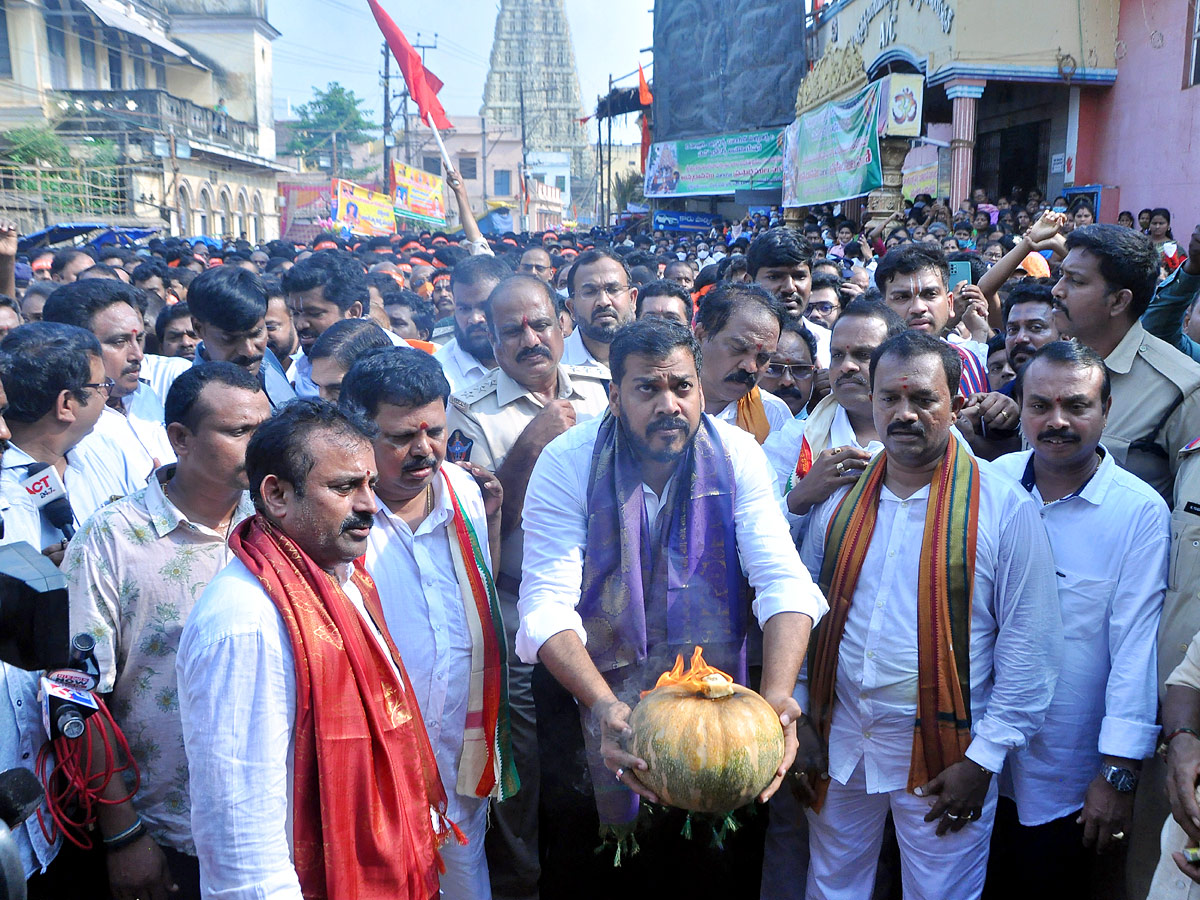 Sri Talpagiri Ranganathaswamy Rathotsavam In Nellore Photo Gallery - Sakshi21