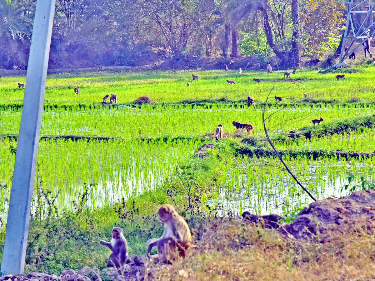 Best photos of the week March 06, to March 13, 2022 Photo Gallery - Sakshi44