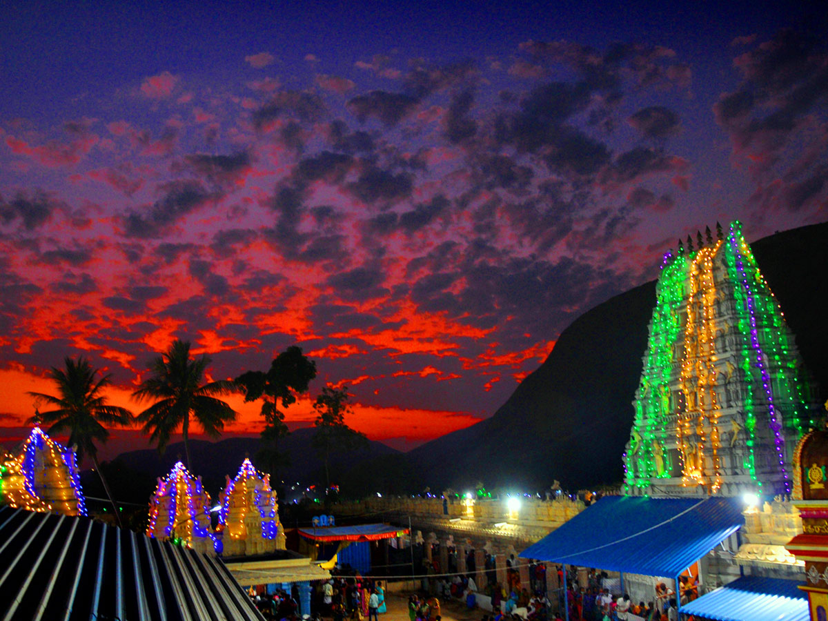 Best photos of the week March 06, to March 13, 2022 Photo Gallery - Sakshi53
