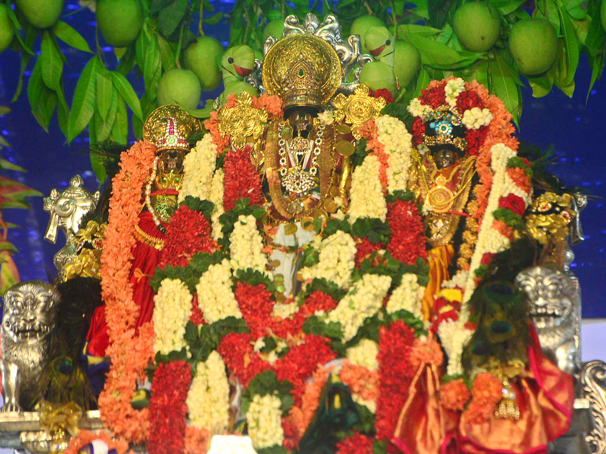 SriRama Navami Celebrations In Bhadradri Photo Gallery - Sakshi27
