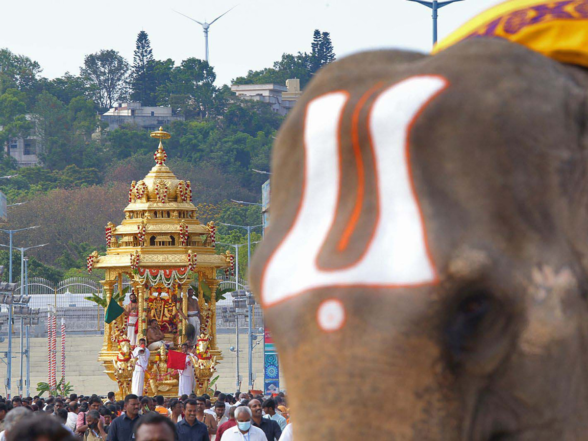 Srivaru on Swarna Ratham at Tirumala Photo Gallery - Sakshi6