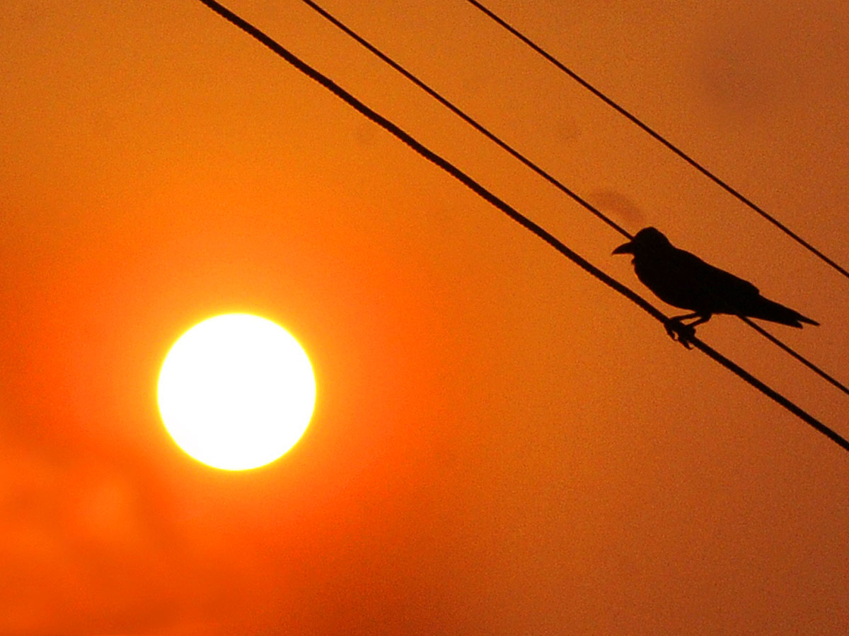 Best Photos of The Week - Sakshi16