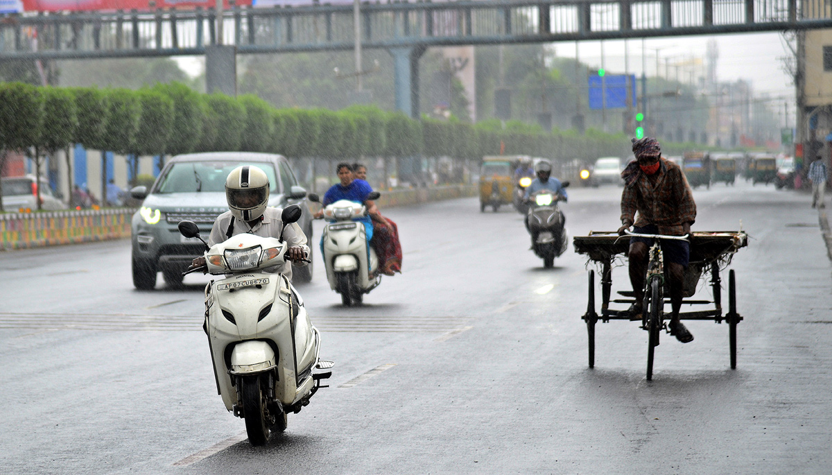 Heavy Rains In Krishna District - Sakshi14