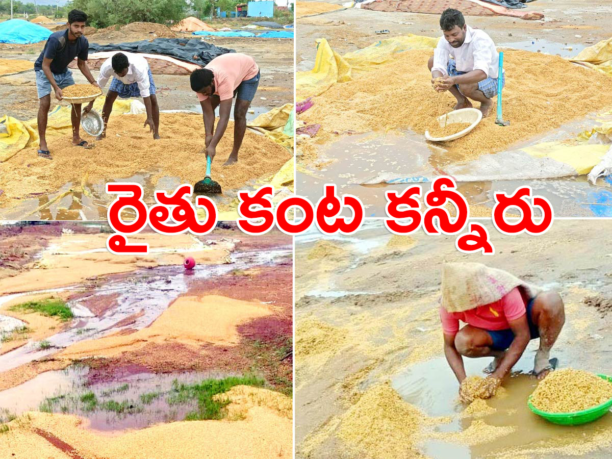 Unseasonal Rains In Telangana Farmers Suffer Paddy Damage - Sakshi1