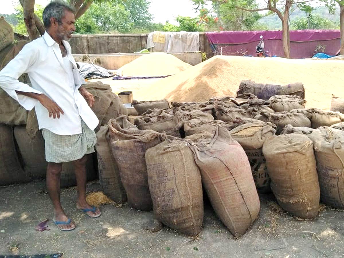 Unseasonal Rains In Telangana Farmers Suffer Paddy Damage - Sakshi11