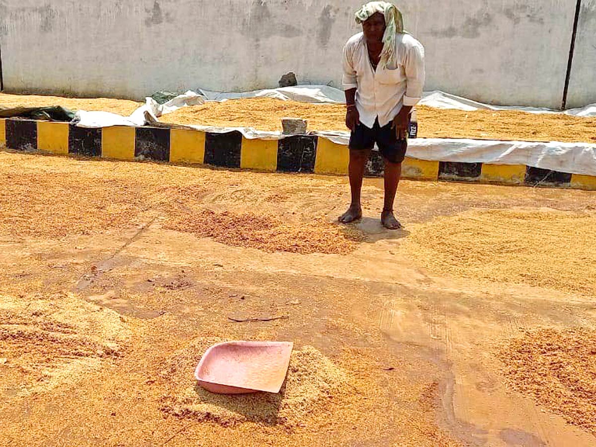 Unseasonal Rains In Telangana Farmers Suffer Paddy Damage - Sakshi12