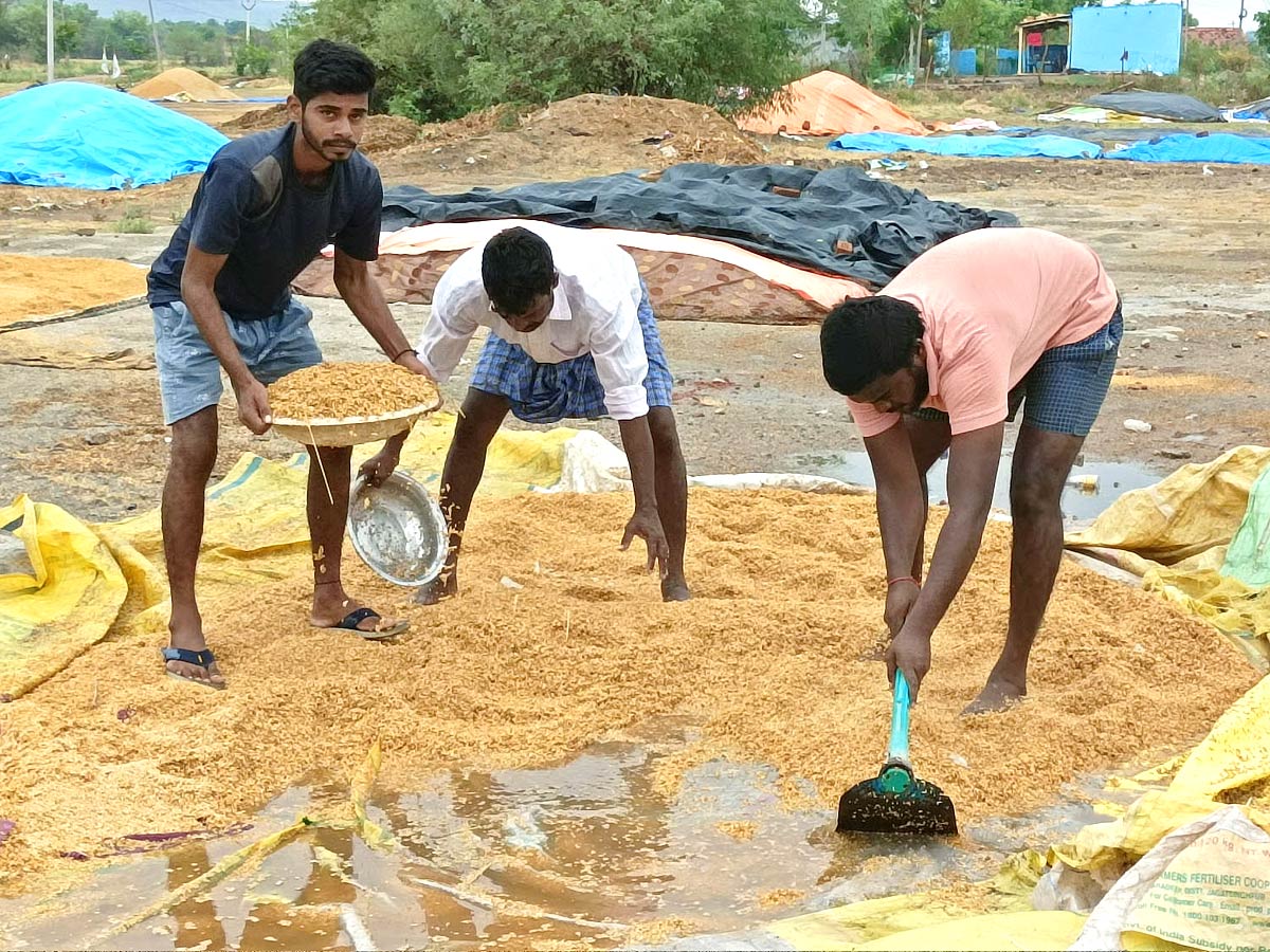 Unseasonal Rains In Telangana Farmers Suffer Paddy Damage - Sakshi13