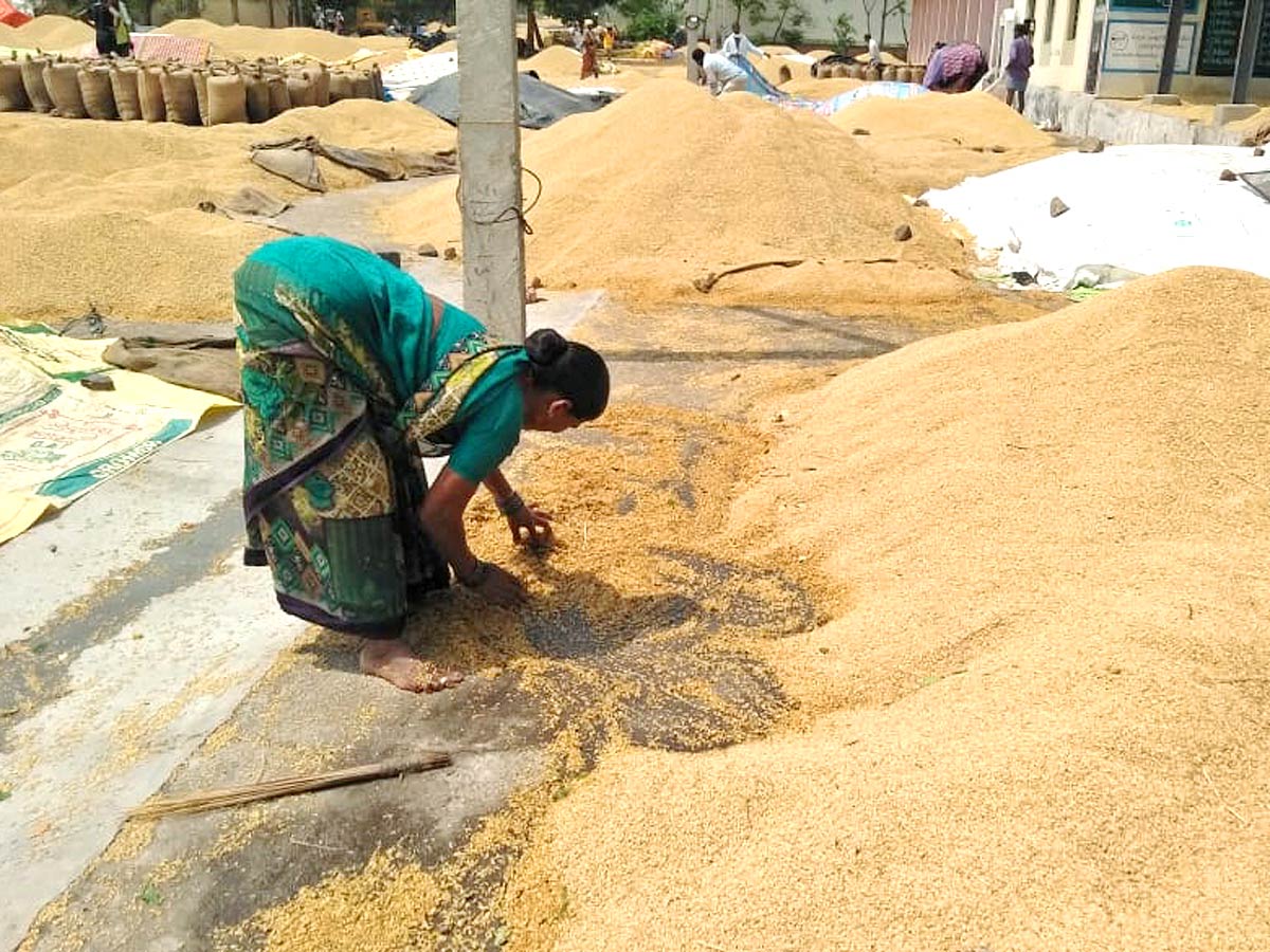 Unseasonal Rains In Telangana Farmers Suffer Paddy Damage - Sakshi14