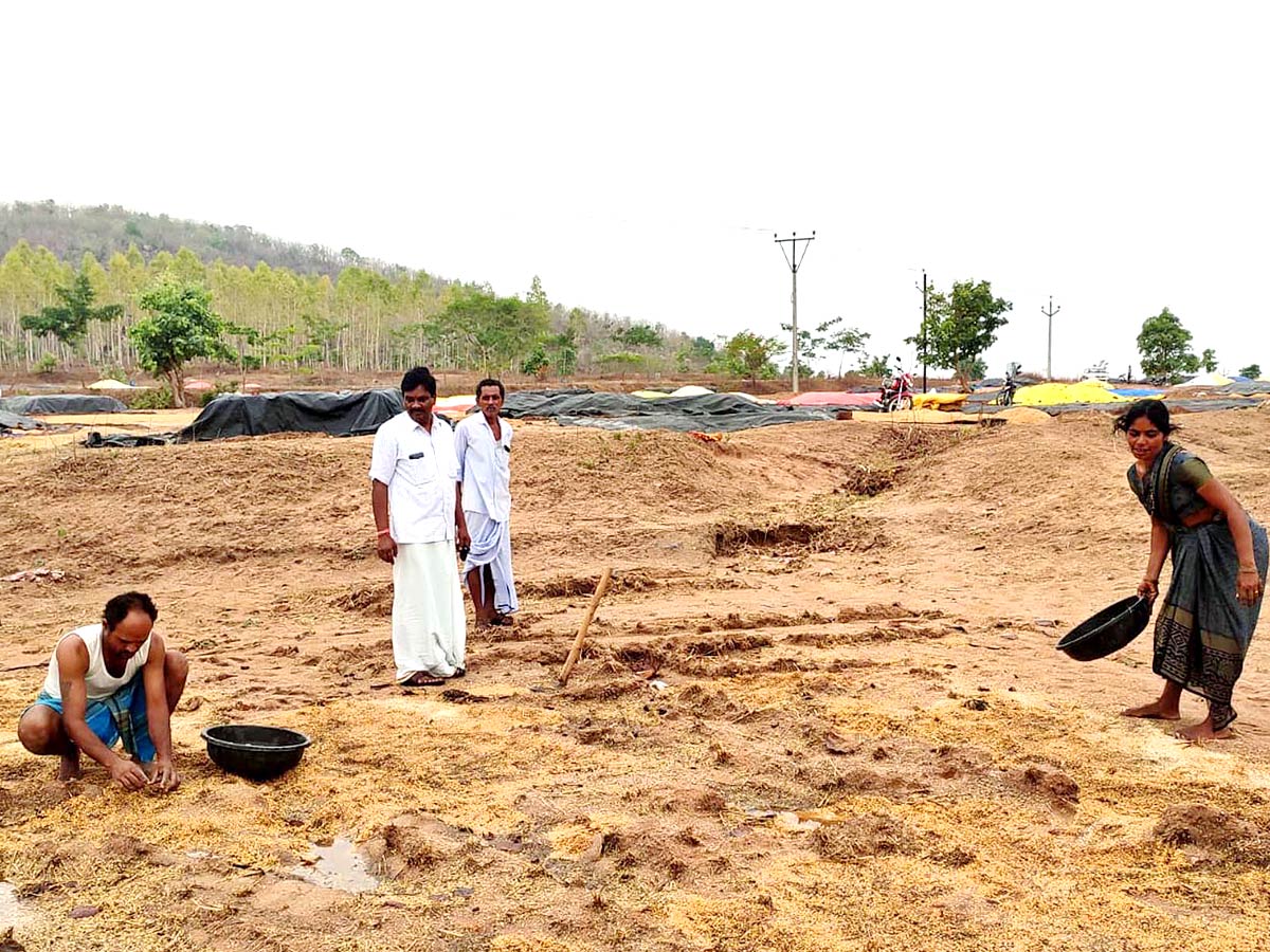 Unseasonal Rains In Telangana Farmers Suffer Paddy Damage - Sakshi17