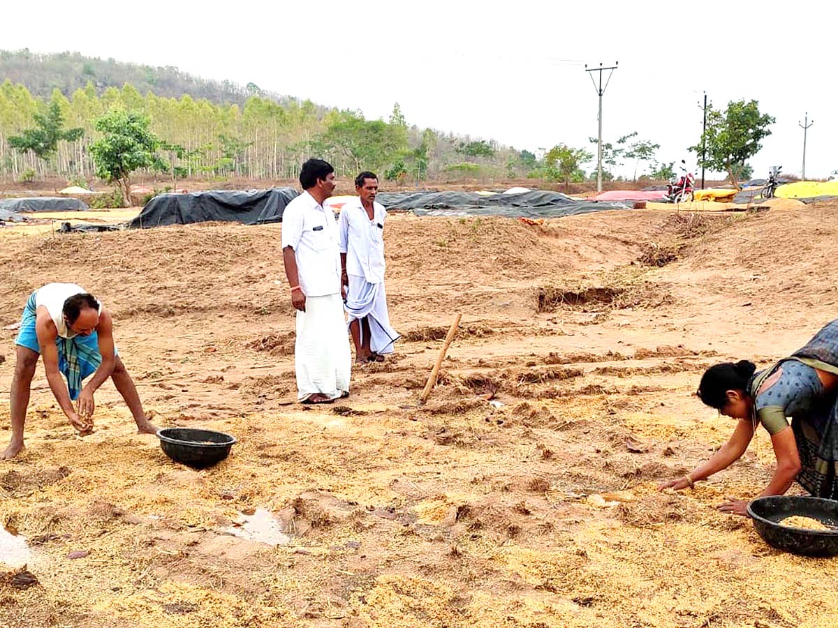 Unseasonal Rains In Telangana Farmers Suffer Paddy Damage - Sakshi18