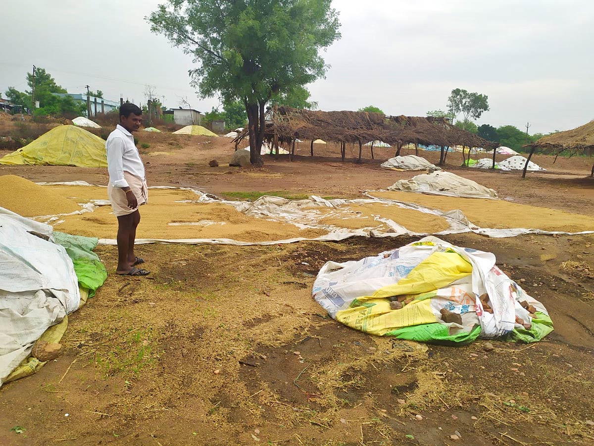 Unseasonal Rains In Telangana Farmers Suffer Paddy Damage - Sakshi19