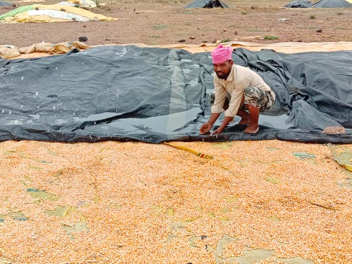 Unseasonal Rains In Telangana Farmers Suffer Paddy Damage - Sakshi20