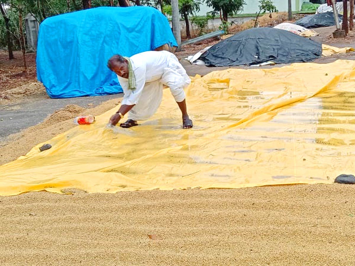 Unseasonal Rains In Telangana Farmers Suffer Paddy Damage - Sakshi21