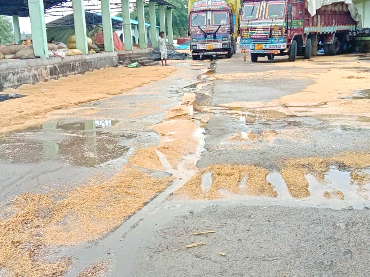 Unseasonal Rains In Telangana Farmers Suffer Paddy Damage - Sakshi22