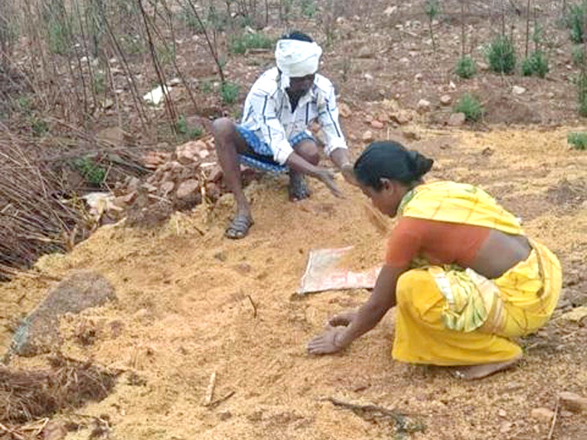 Unseasonal Rains In Telangana Farmers Suffer Paddy Damage - Sakshi25