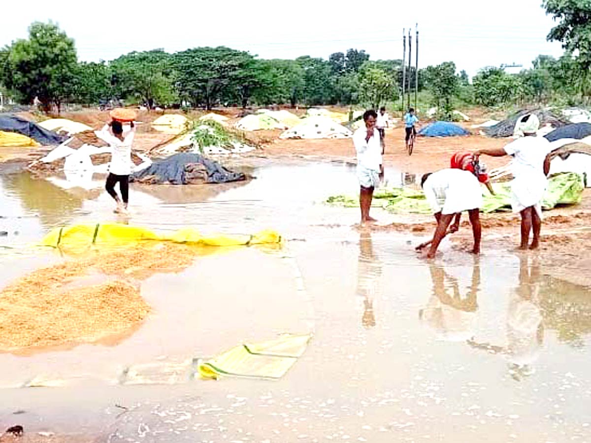 Unseasonal Rains In Telangana Farmers Suffer Paddy Damage - Sakshi27