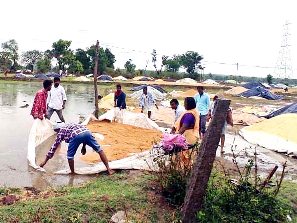 Unseasonal Rains In Telangana Farmers Suffer Paddy Damage - Sakshi29