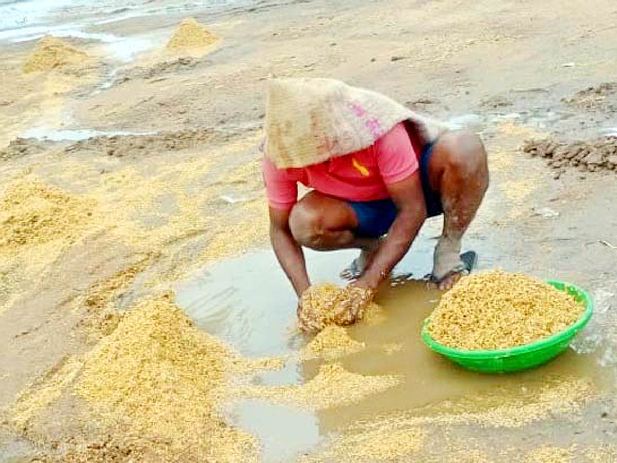 Unseasonal Rains In Telangana Farmers Suffer Paddy Damage - Sakshi30