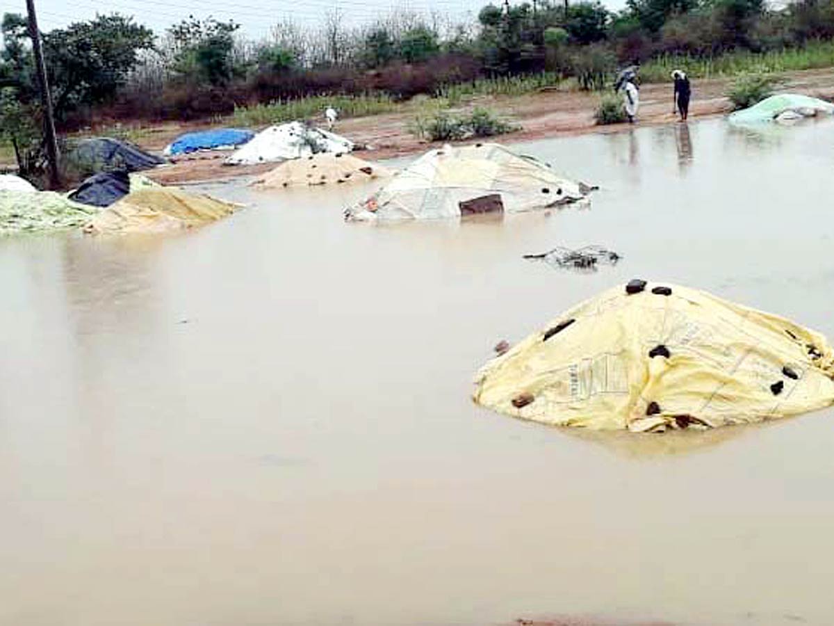 Unseasonal Rains In Telangana Farmers Suffer Paddy Damage - Sakshi31