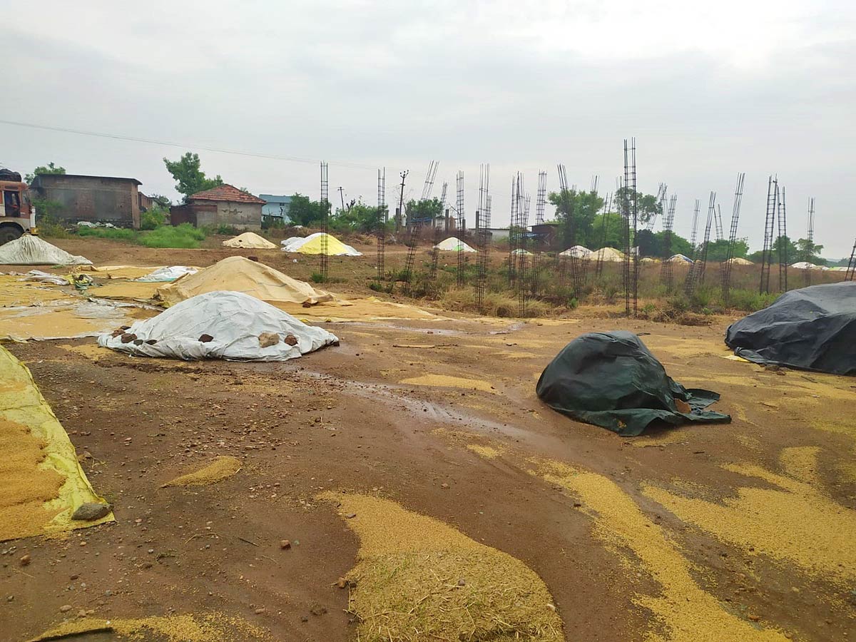 Unseasonal Rains In Telangana Farmers Suffer Paddy Damage - Sakshi8