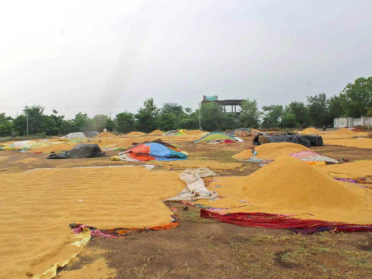 Unseasonal Rains In Telangana Farmers Suffer Paddy Damage - Sakshi9