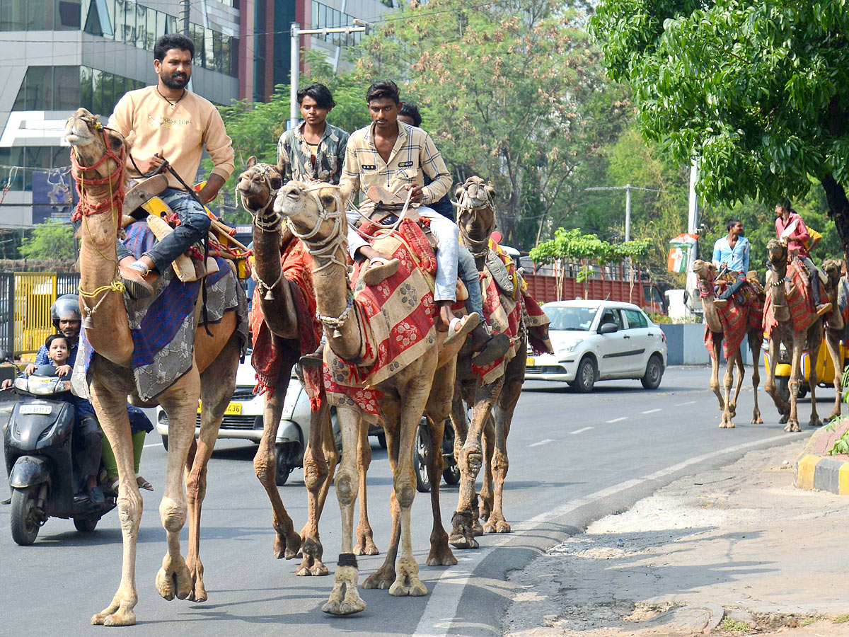 Best Images of The Week - Sakshi14