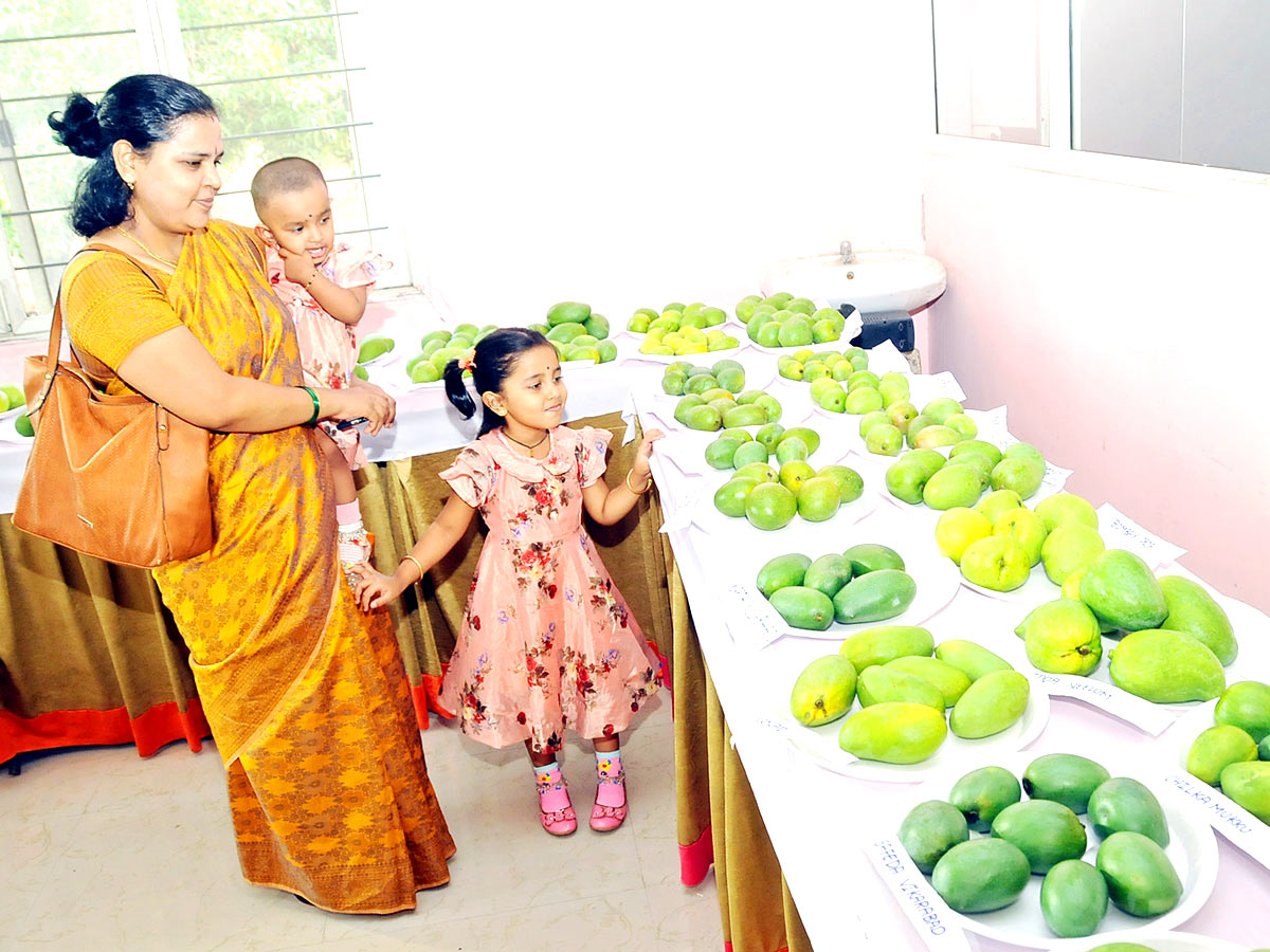 Best Images of The Week - Sakshi24