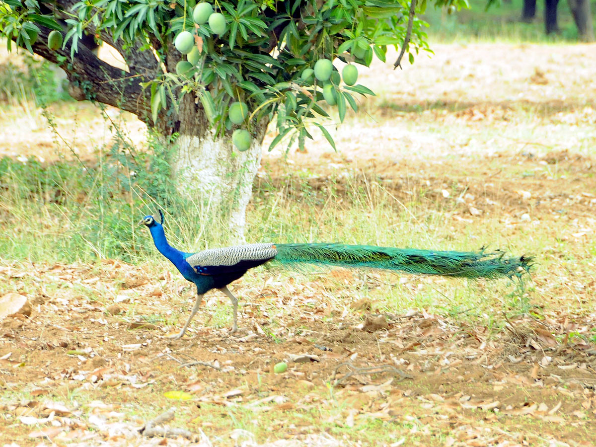 Best Images of The Week - Sakshi25