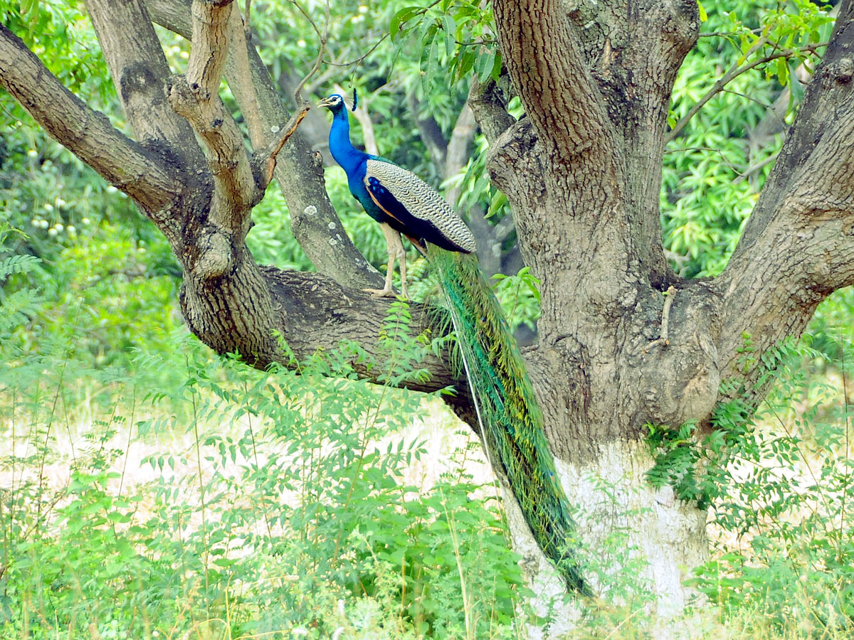 Best Images of The Week - Sakshi26