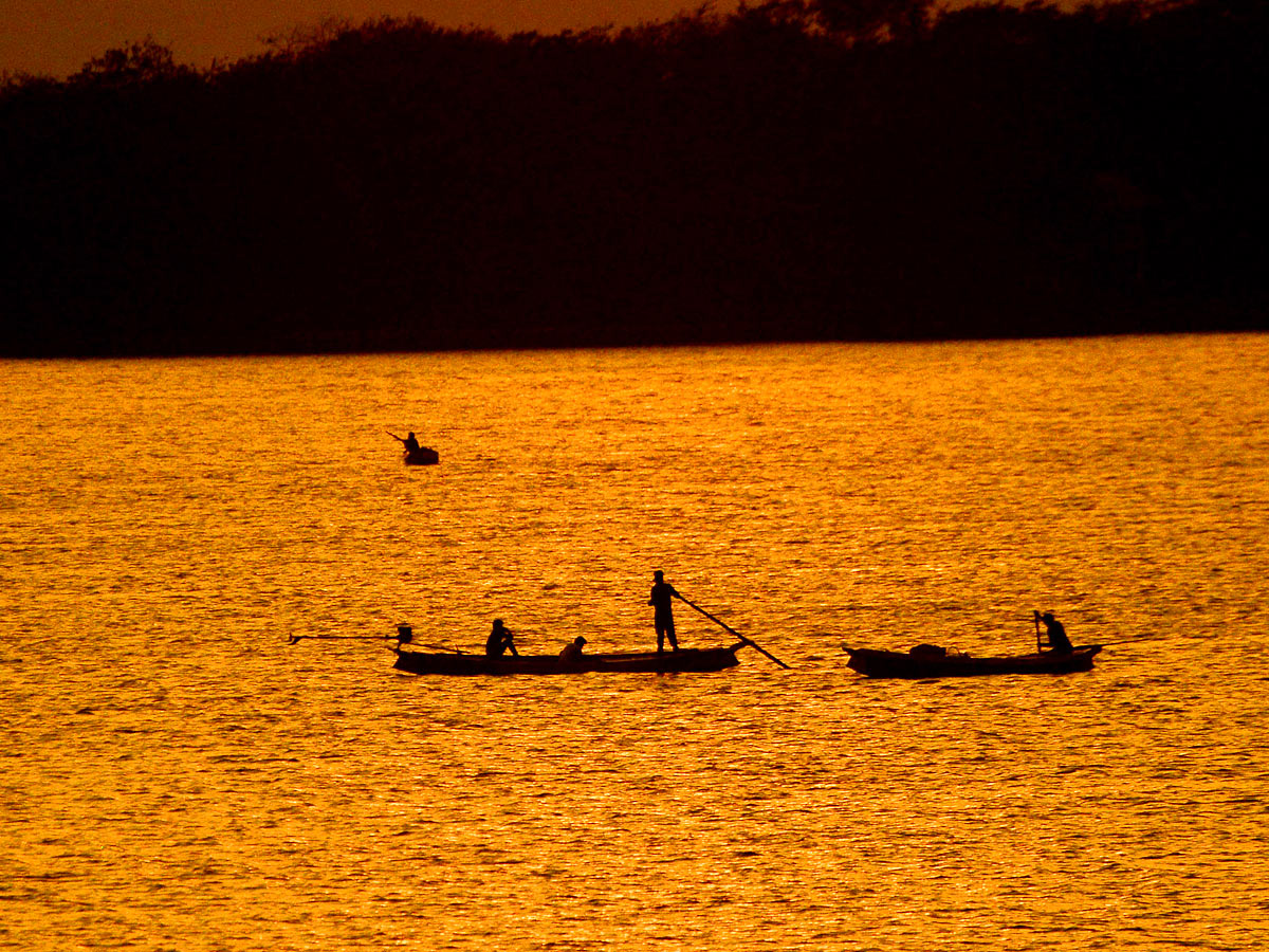 Best Images of The Week - Sakshi32