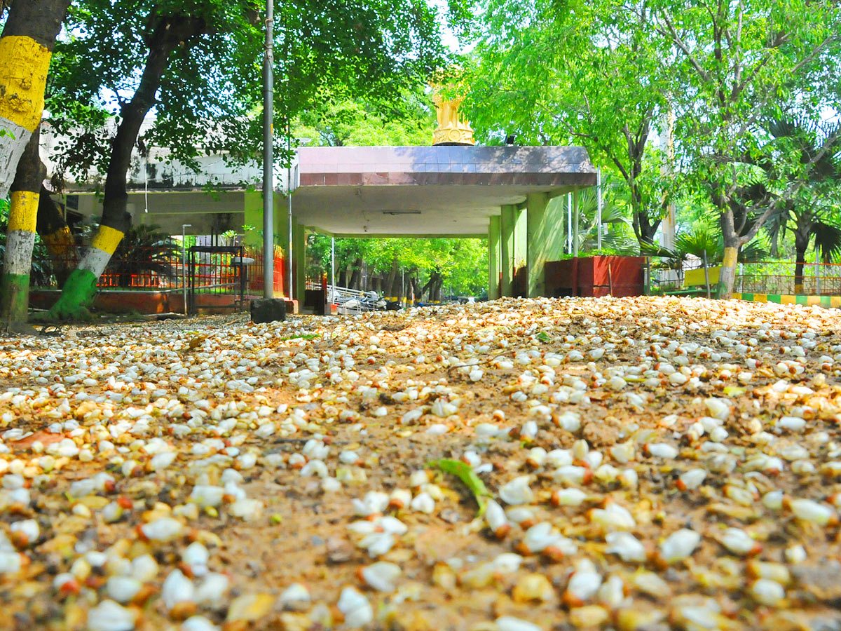 Best Images of The Week - Sakshi34