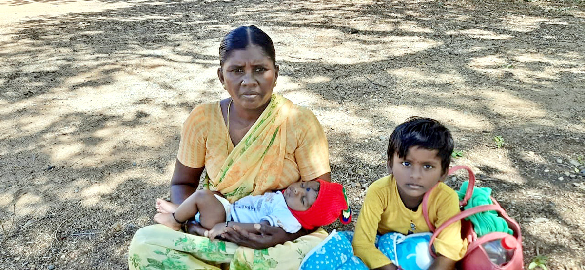 Telangana TET 2022 Photos - Sakshi14
