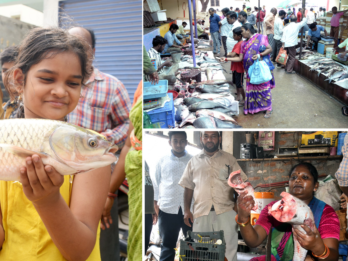 Mrigasira Karthi 2022 - Sakshi1